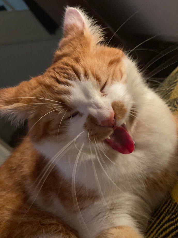 Figaro Jackson-Ford profile picture